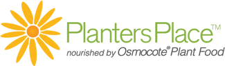 Planters – Local