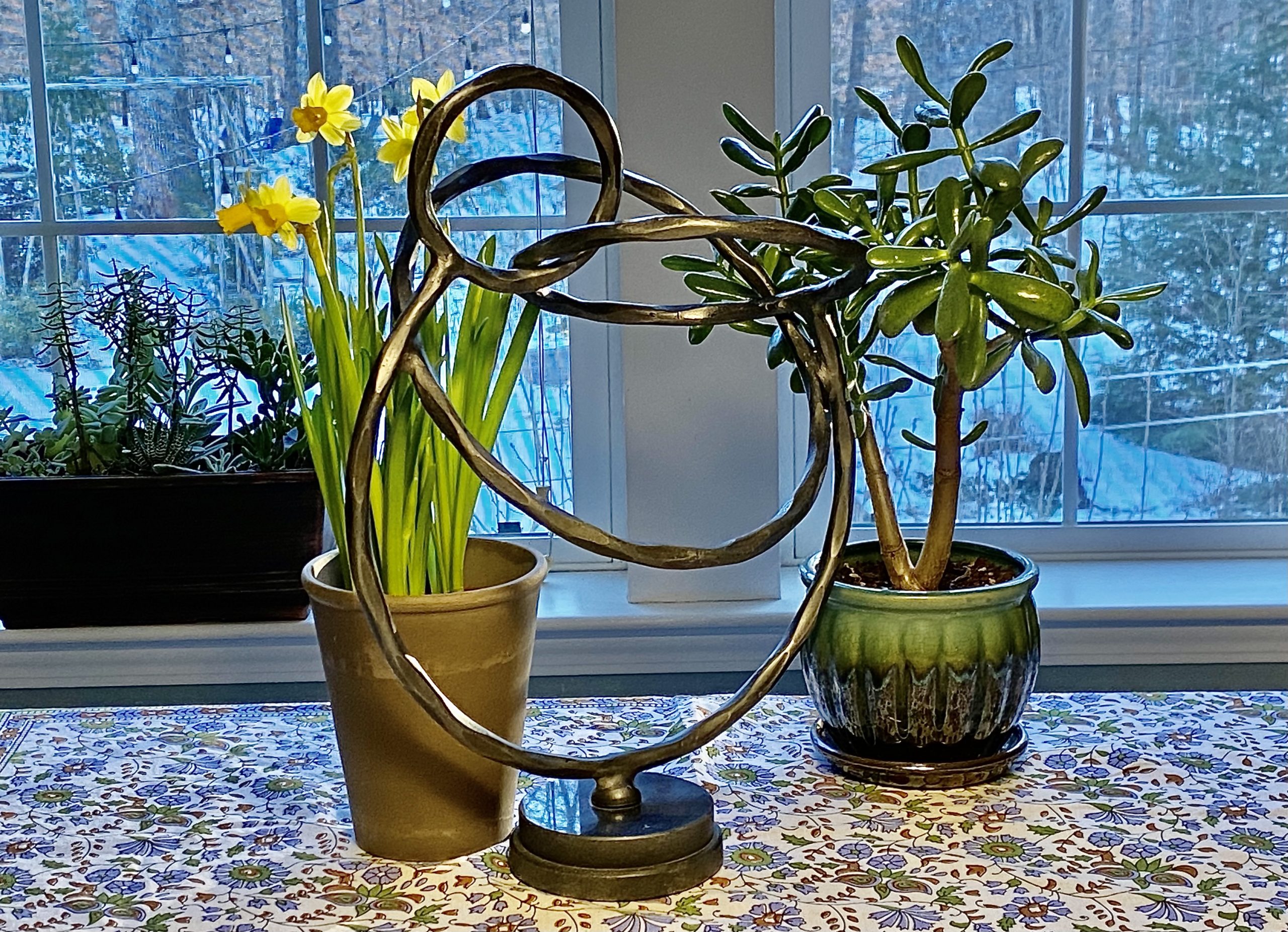 Daffodil And Jade Plants Planters Place