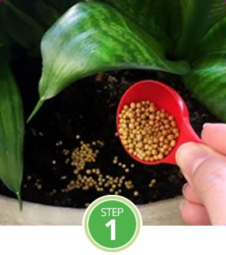 products-flower-vegetable-step1
