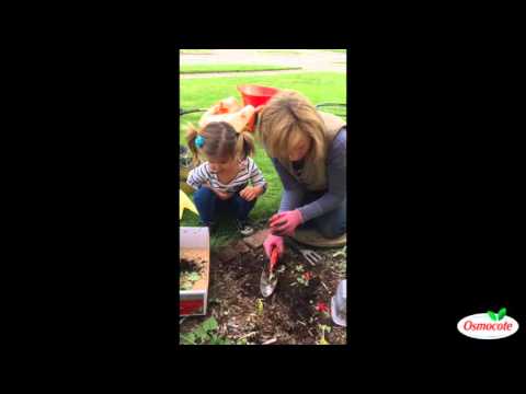 Removing Weeds with a Helping Hand (Toddler)