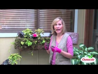 Make Colorful Container Gardens for Summer