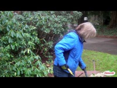 The Spring Growing Season: Pruning and Cleanup Advice