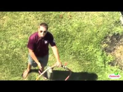 Tree Maintenance: How to Inject Roots with Compost Tea