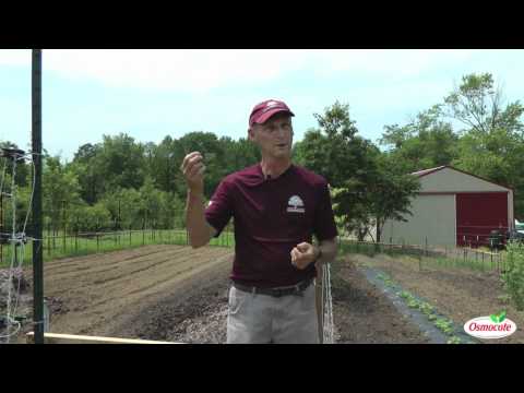 Fencing and Organic Repellents for Deer and Rabbits