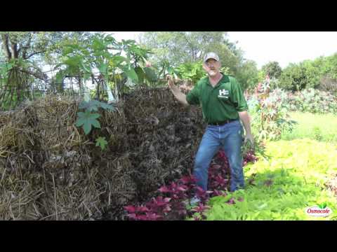 Creating A Compost Wall for Your Garden