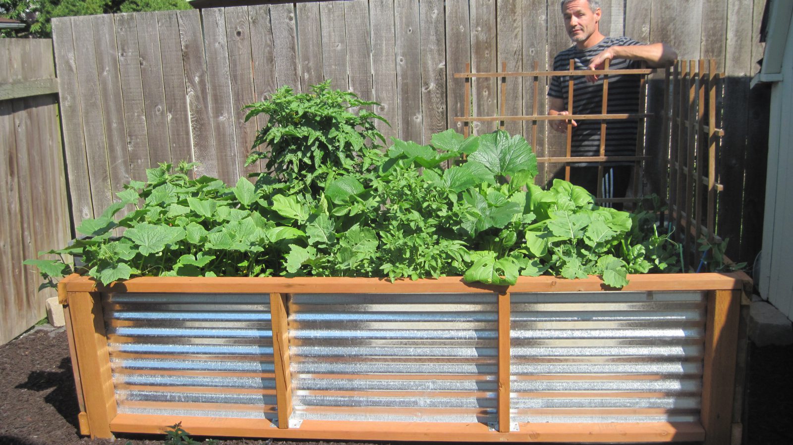 Protecting Plants from Winter Frost Planters Place