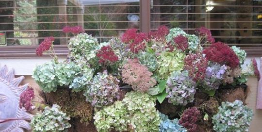 Fall Container Planting Ideas for Your Garden