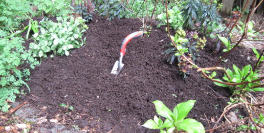 Fall Mulching: Easy Tips and Tricks