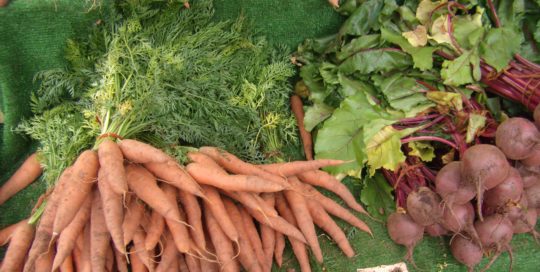 Root Vegetables: Preparation and Planting Suggestions