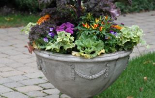 Pots and Plants with Flair and Panache
