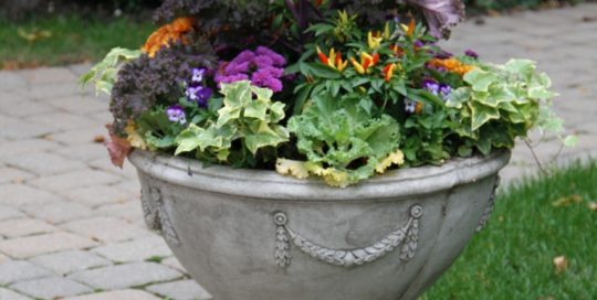 Pots and Plants with Flair and Panache