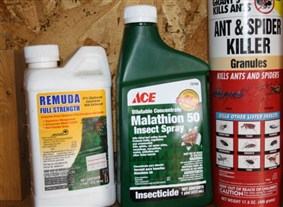 insecticides and pesticides used on frasier firs