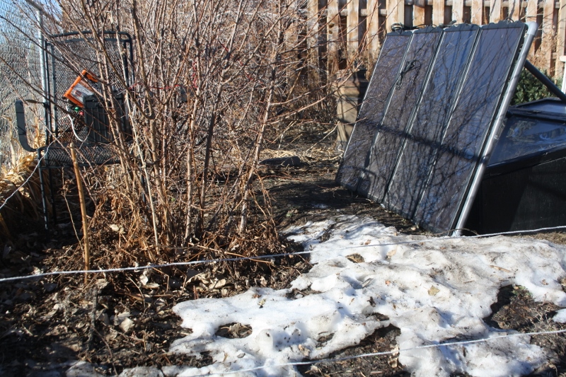 Electric fence to keep dogs sale out of garden