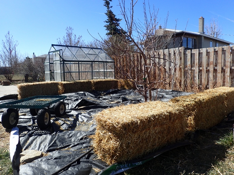 Straw Bale Gardens and Rodents