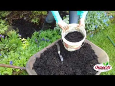 How to Remove Weeds Permanently