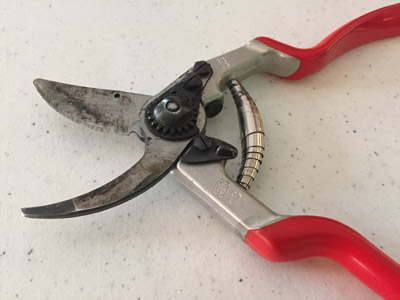 How to Clean Pruners