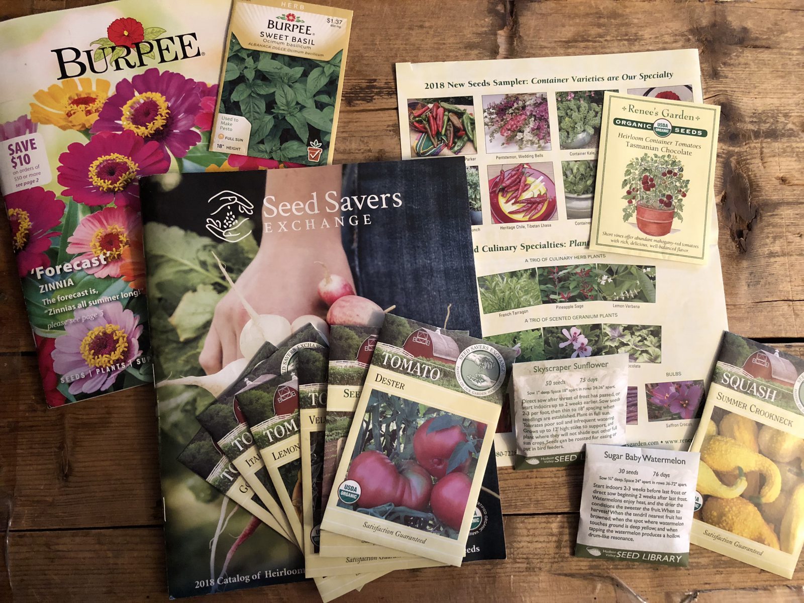 Best Seed Catalogs for Gardeners