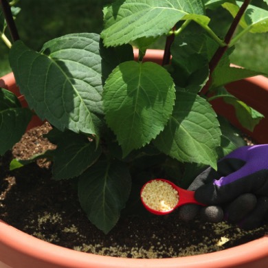 GardenSelectPlantersPlace-1