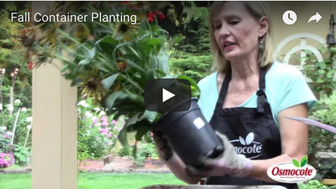 Container Plants for a Durable Fall Garden