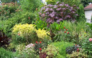 What Is a Cottage Garden and Should You Grow One