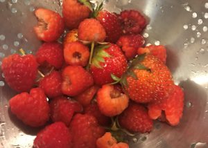 Fresh Harvest this Berry Season