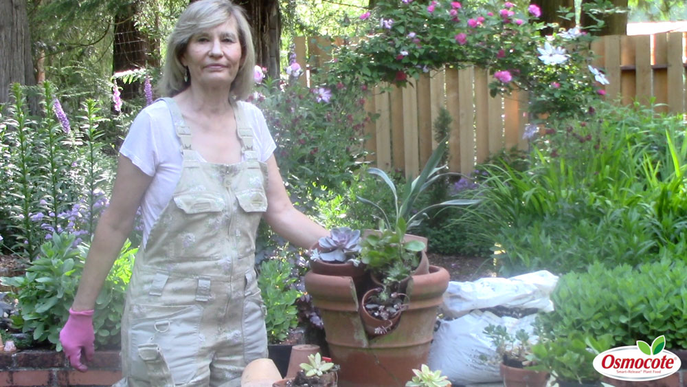Succulent planters can be fun and easy to put together! Marianne Binetti shows how to reuse old pots to put together a variety of succulents and sedums!