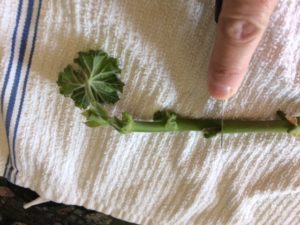 Basics of Propagation