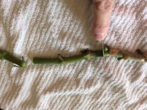 Basics of Propagation