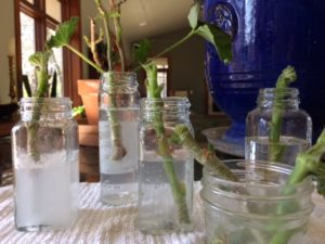 Basics of Propagation