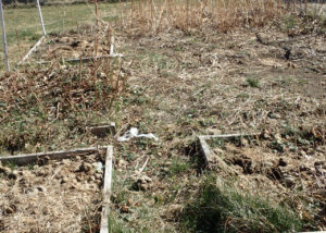 Winter clean up to reduce pests