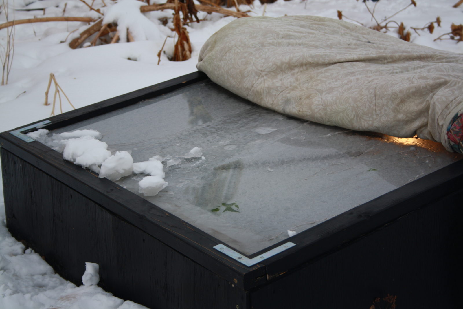 winter cold frame with blanket