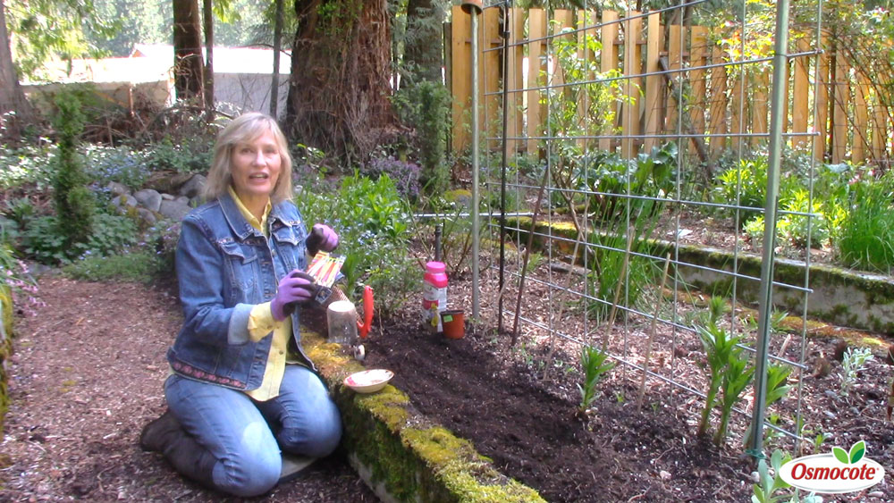 Expert Gardener Marianne Binetti shares her tips and tricks for planting carrots, a nutritious and delicious vegetable, all summer long.
