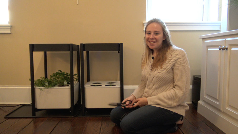 Learn how to plant seeds in a Miracle-Gro Twelve hydroponic growing system so that you can grow herbs and vegetables indoors all year.