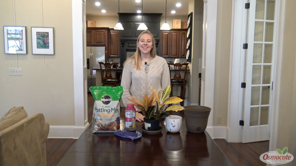 On this episode of Dakota’s Corner, we explain how to repot your houseplant and make sure that it gets the nutrients it needs with Osmocote Plant Food.