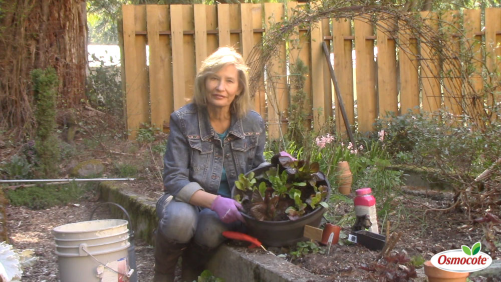 Expert Gardener Marianne Binetti gives tips for planting a container vegetable garden that can feed you for a year for dirt cheap!