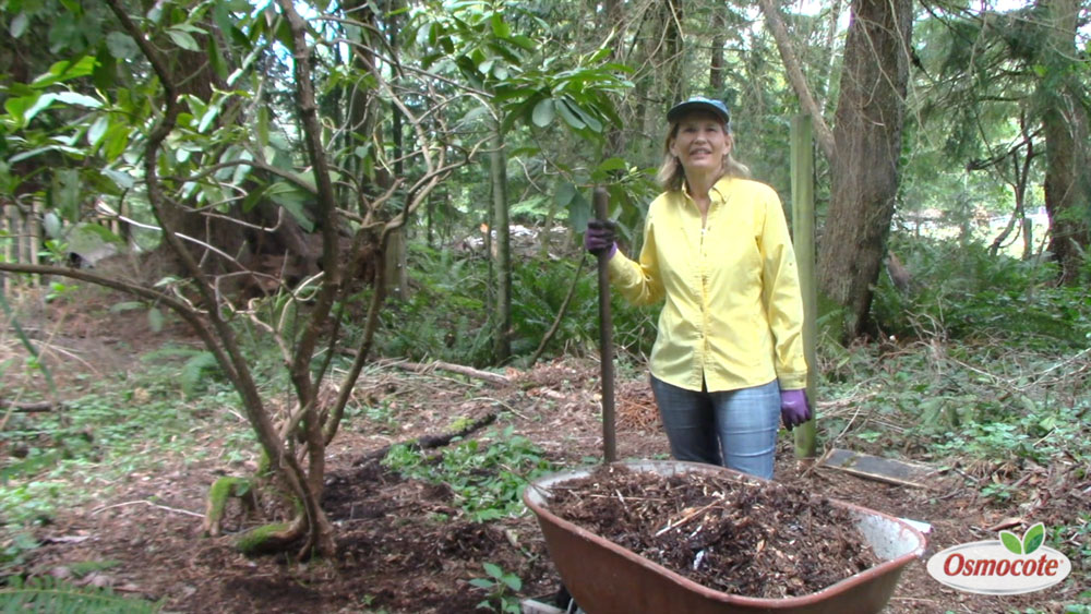 Expert Gardener Marianne Binetti explains why wood chip mulch helps your garden and how to get and apply it for the best results.