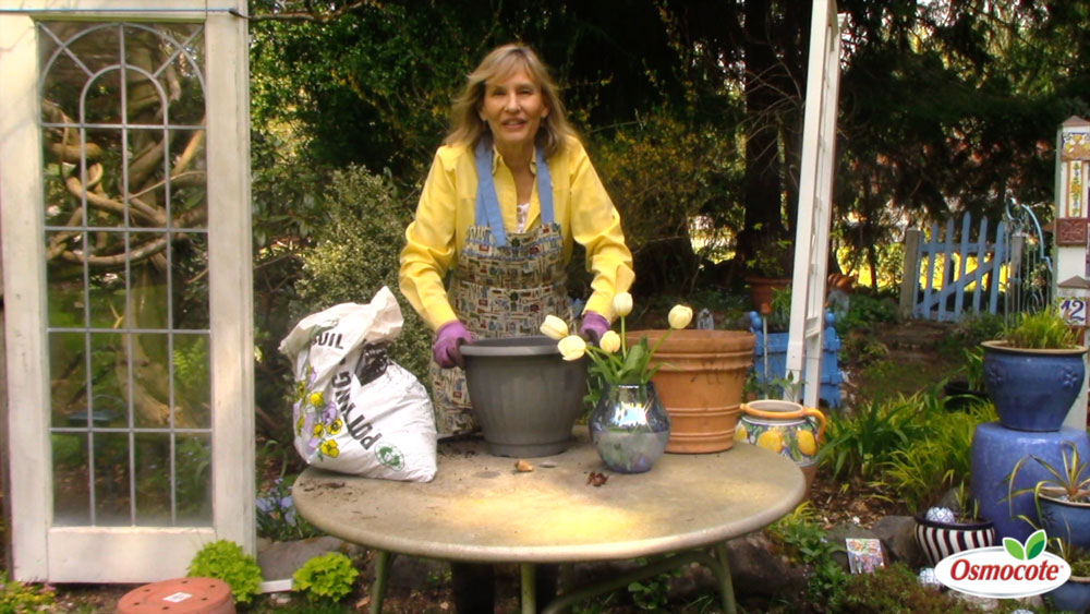 Expert Gardener Marianne Binetti gives tips and tricks for planting bulbs and shows just how quick and easy it is to do in containers.