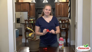 Dakota explains how Osmocote Slow-Release Plant Food works and how to apply Osmocote Outdoor & Indoor on an indoor houseplant.