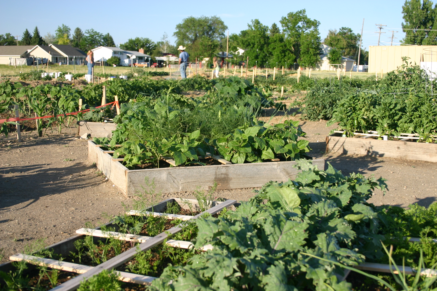 Raised Garden Beds Planters Place