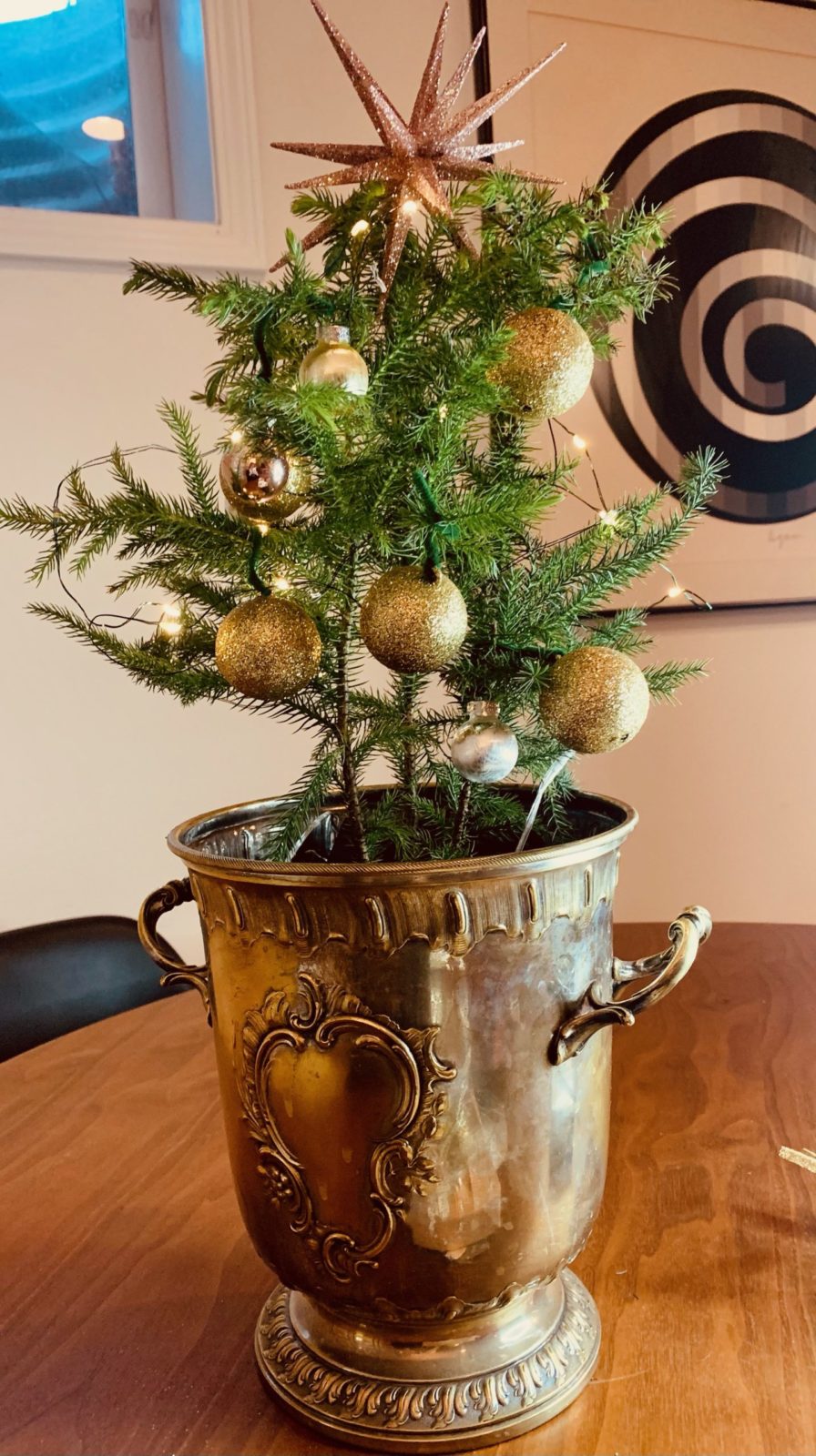 Christmas Trees in Containers Planters Place