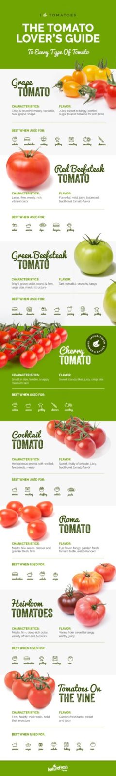 tomato-lovers-guide