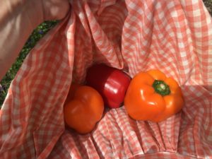 Peppers