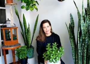 My Story With Houseplants