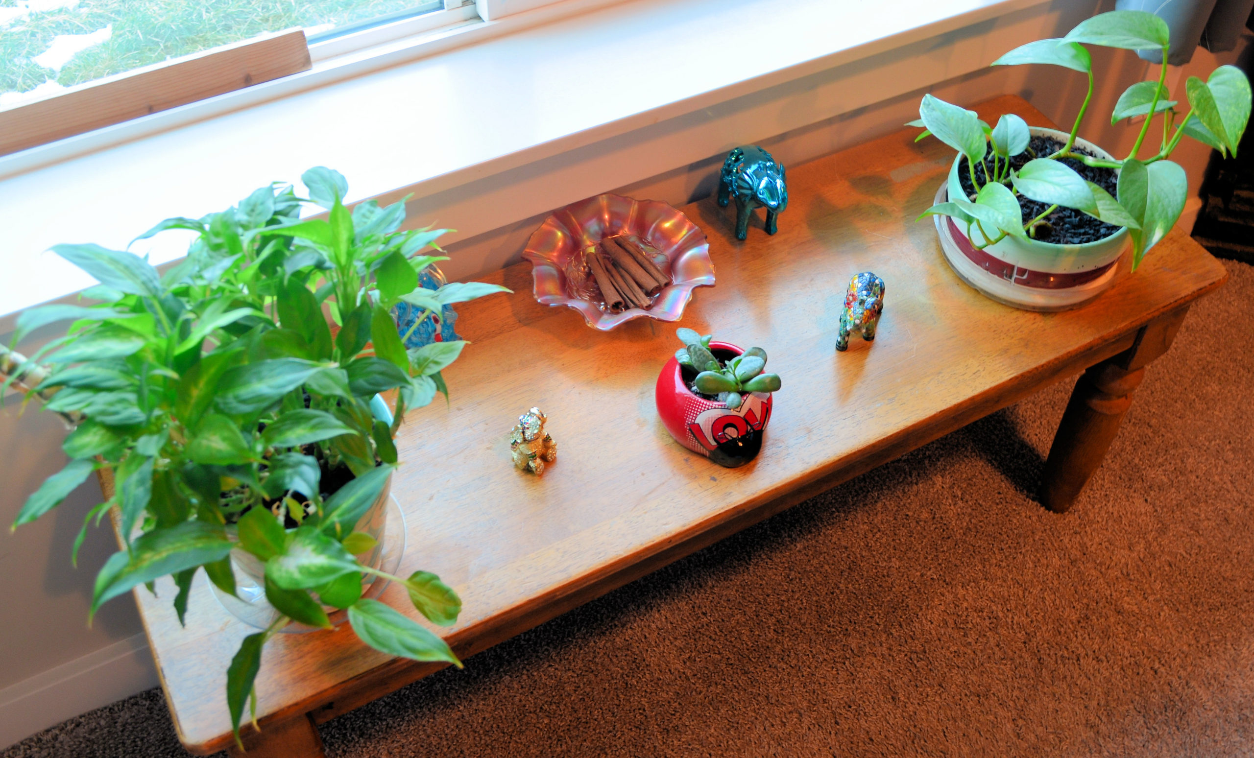 My Elephants Plants Planters Place