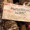 sign indicating mushroom logs for sale