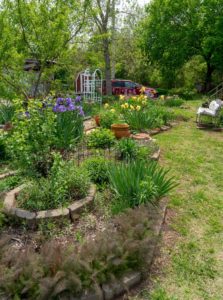 a garden with many plants