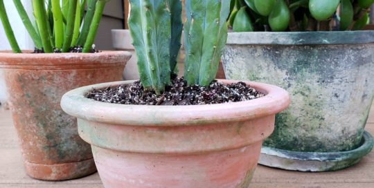 Make Your Own Rustic Pot