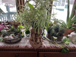 56F3ED25-DEDC-49EB-9CEB-0250B2A1EE55