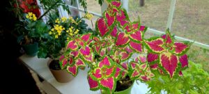 You light up my life!!