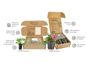 Plantlings are packed to withstand shipping bumps and bounces.